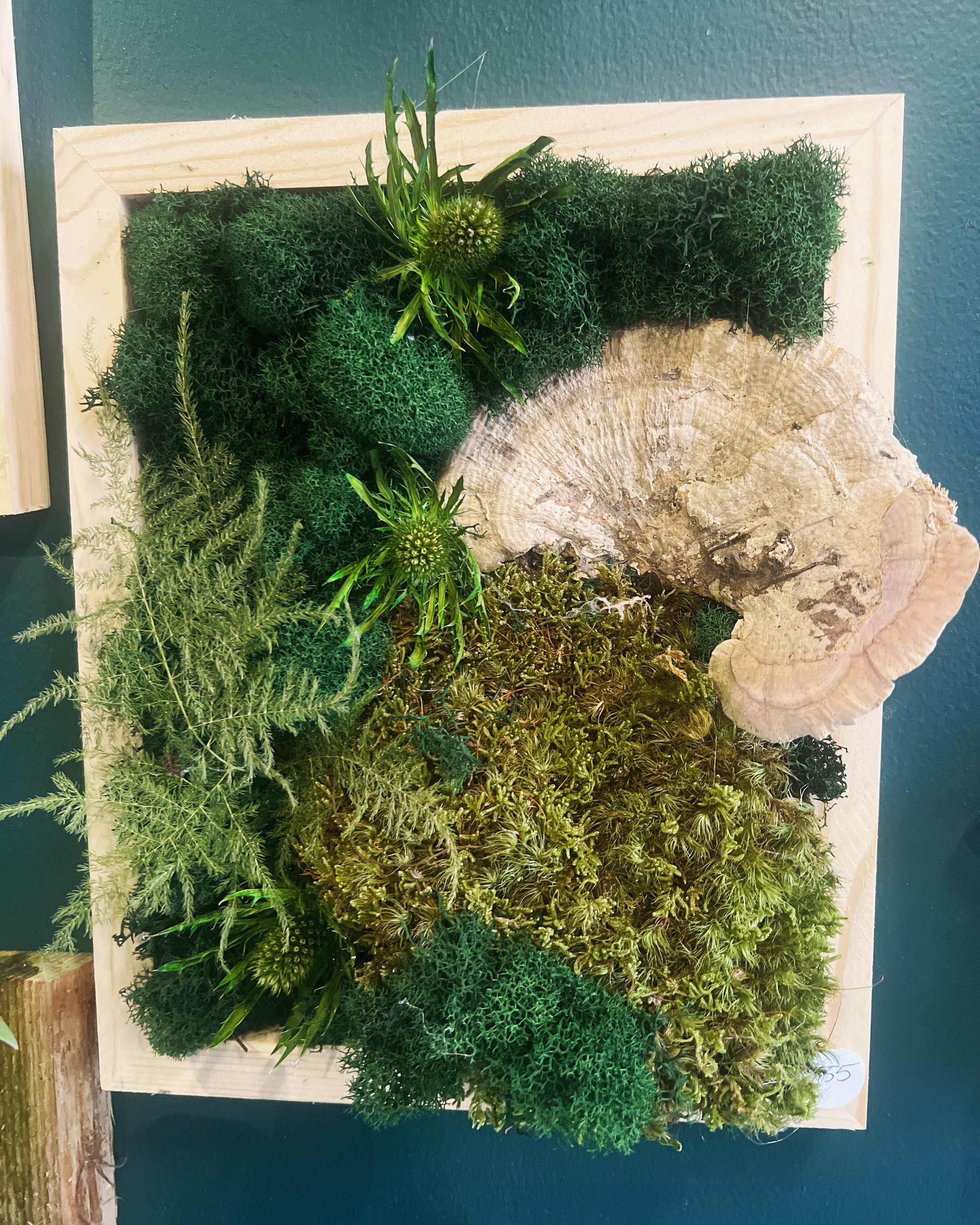 Moss Art (DC)