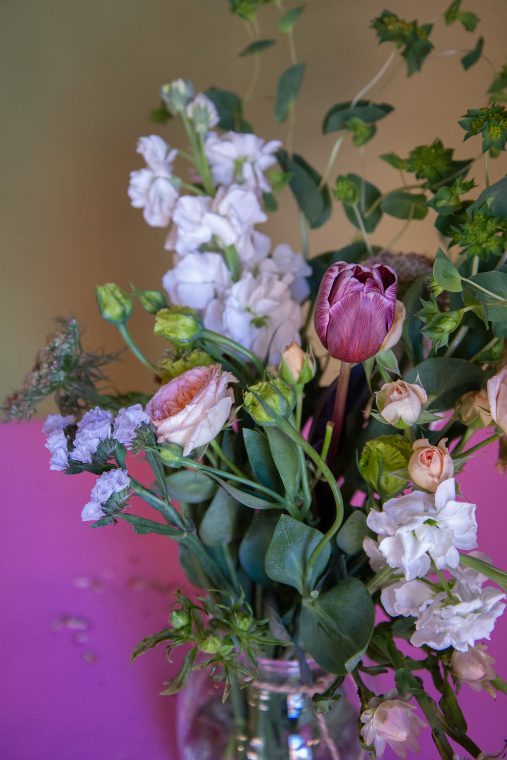 Roses and Rosé (DC)