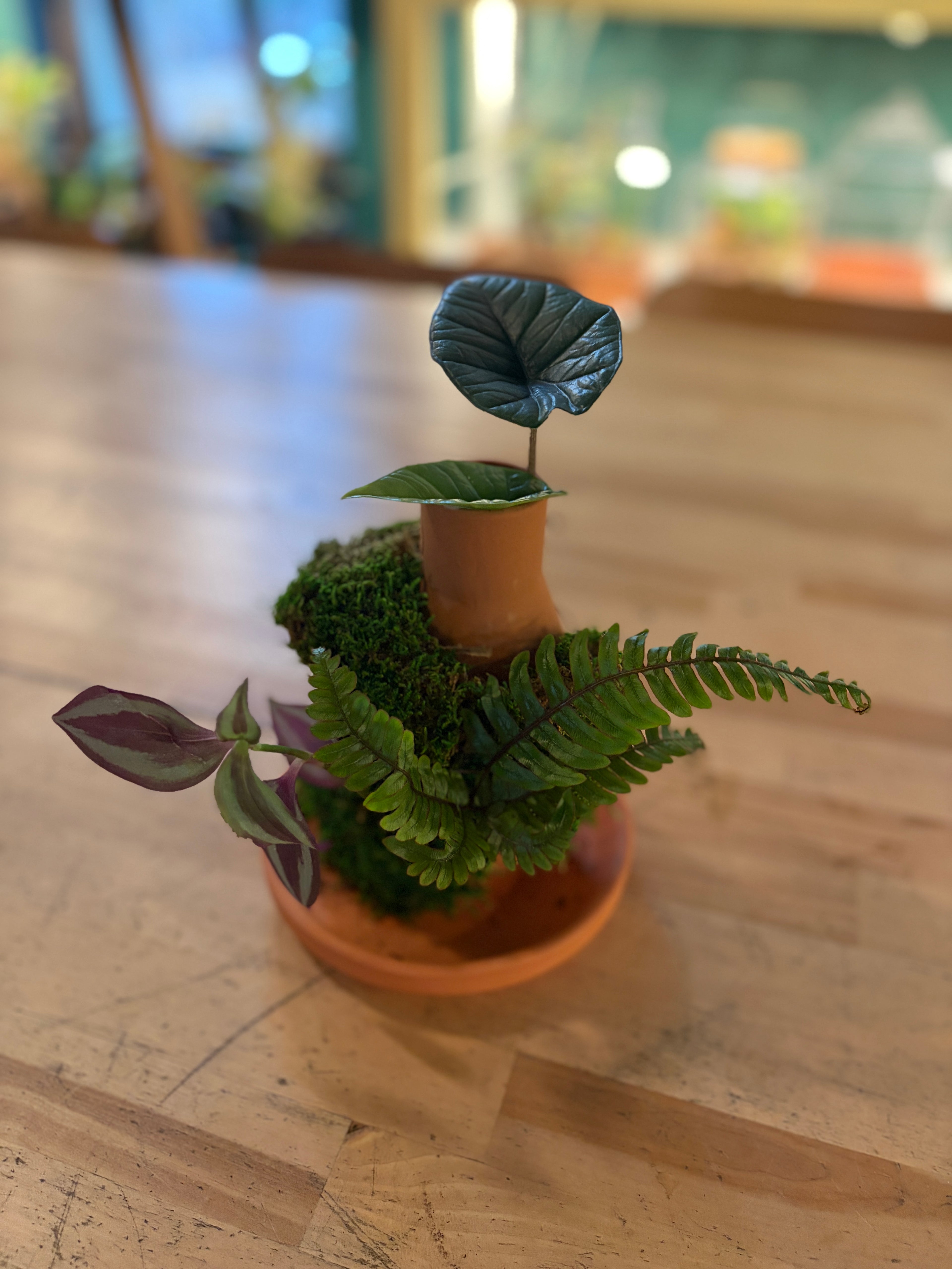 Living Clay Planter with Clay Aged Wine Tasting