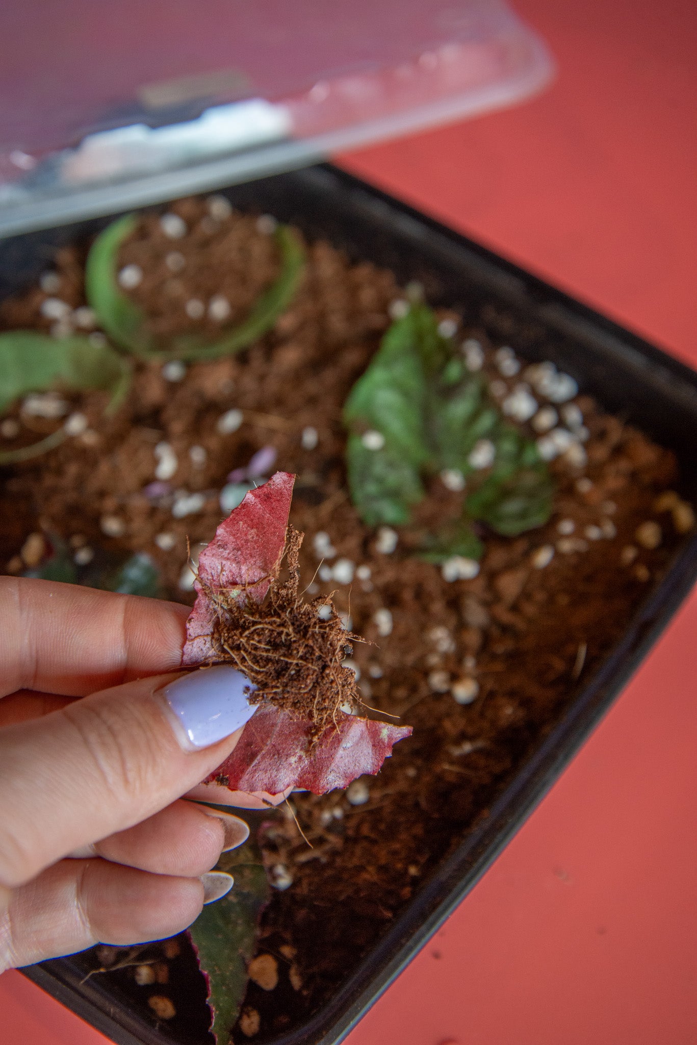 Propagation Workshop