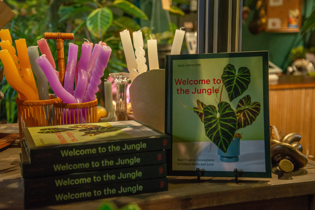 Welcome to the Jungle