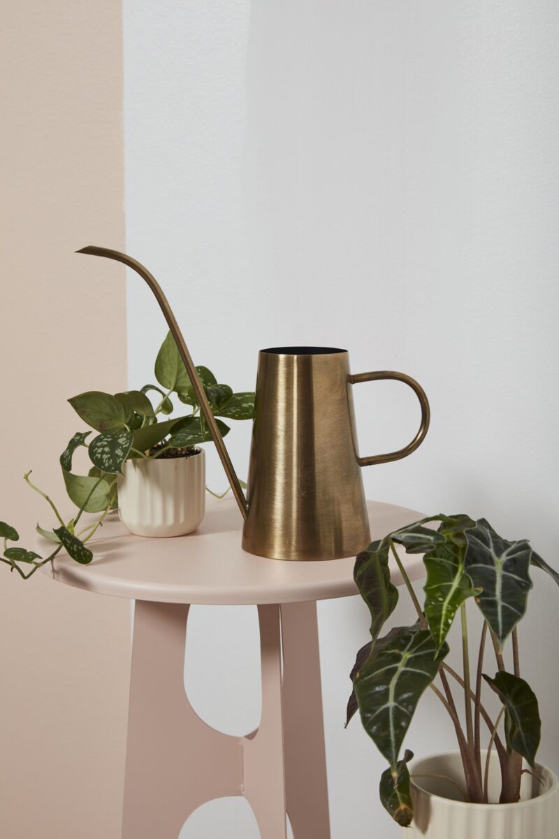 Watering Cans