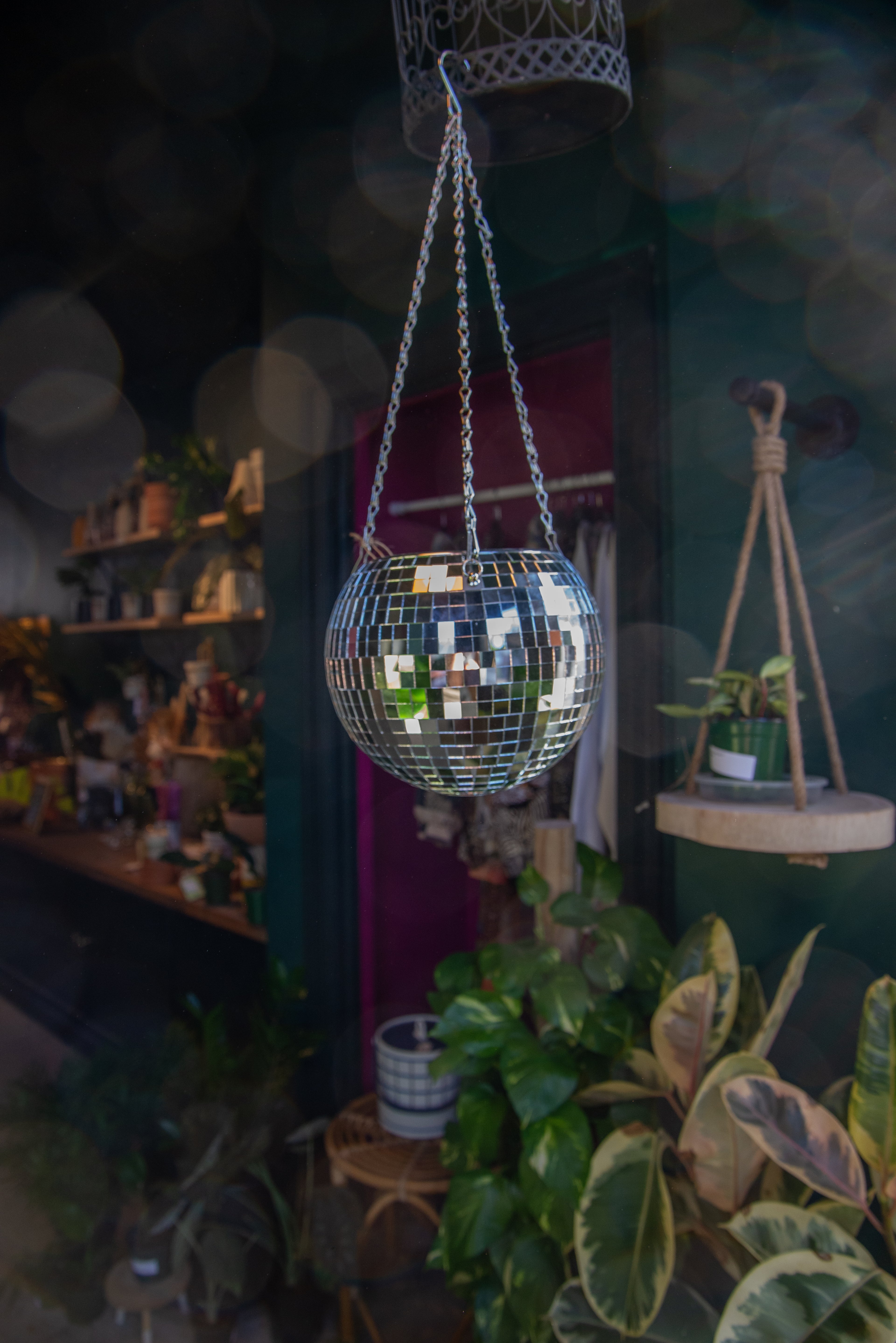 Disco