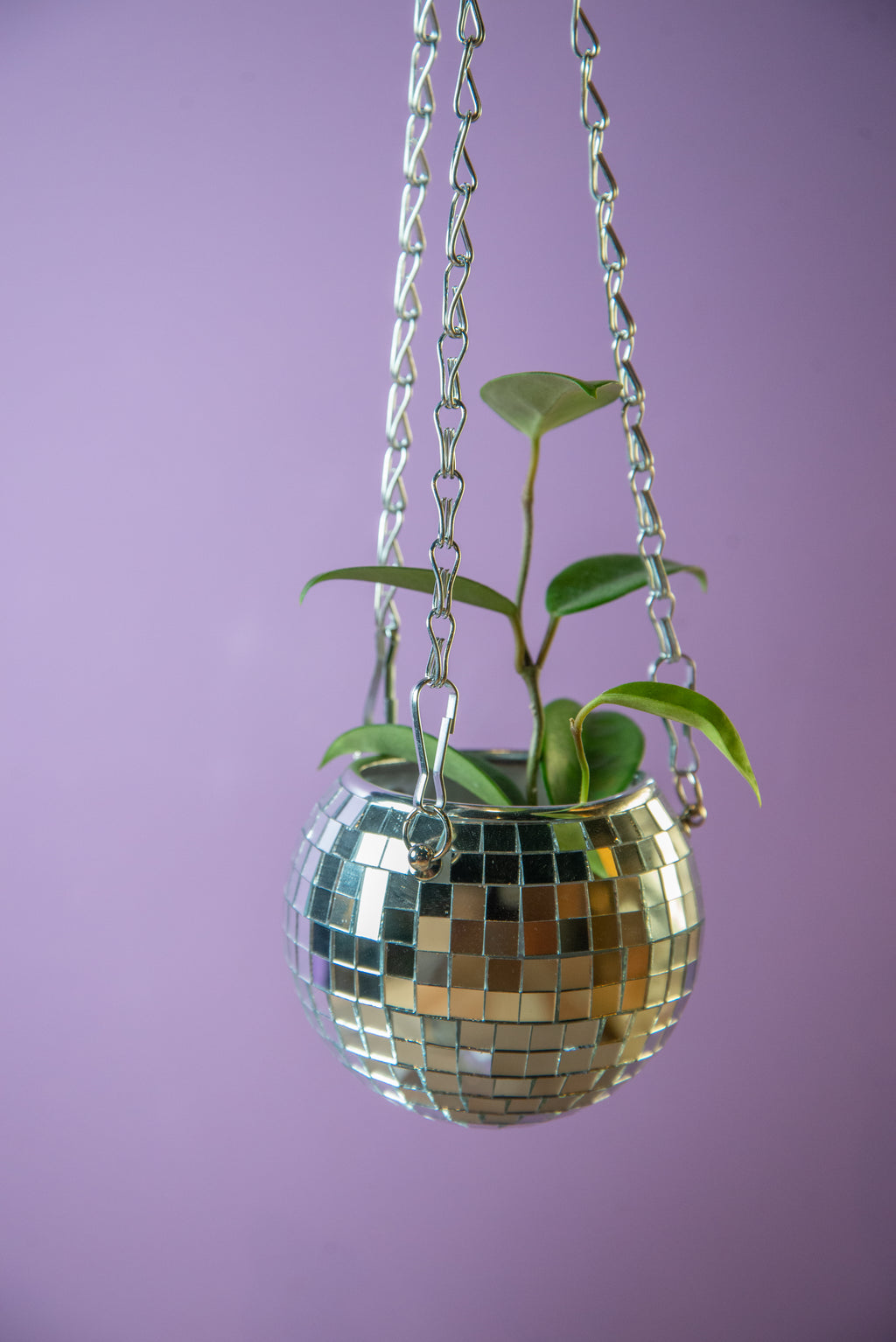 Disco