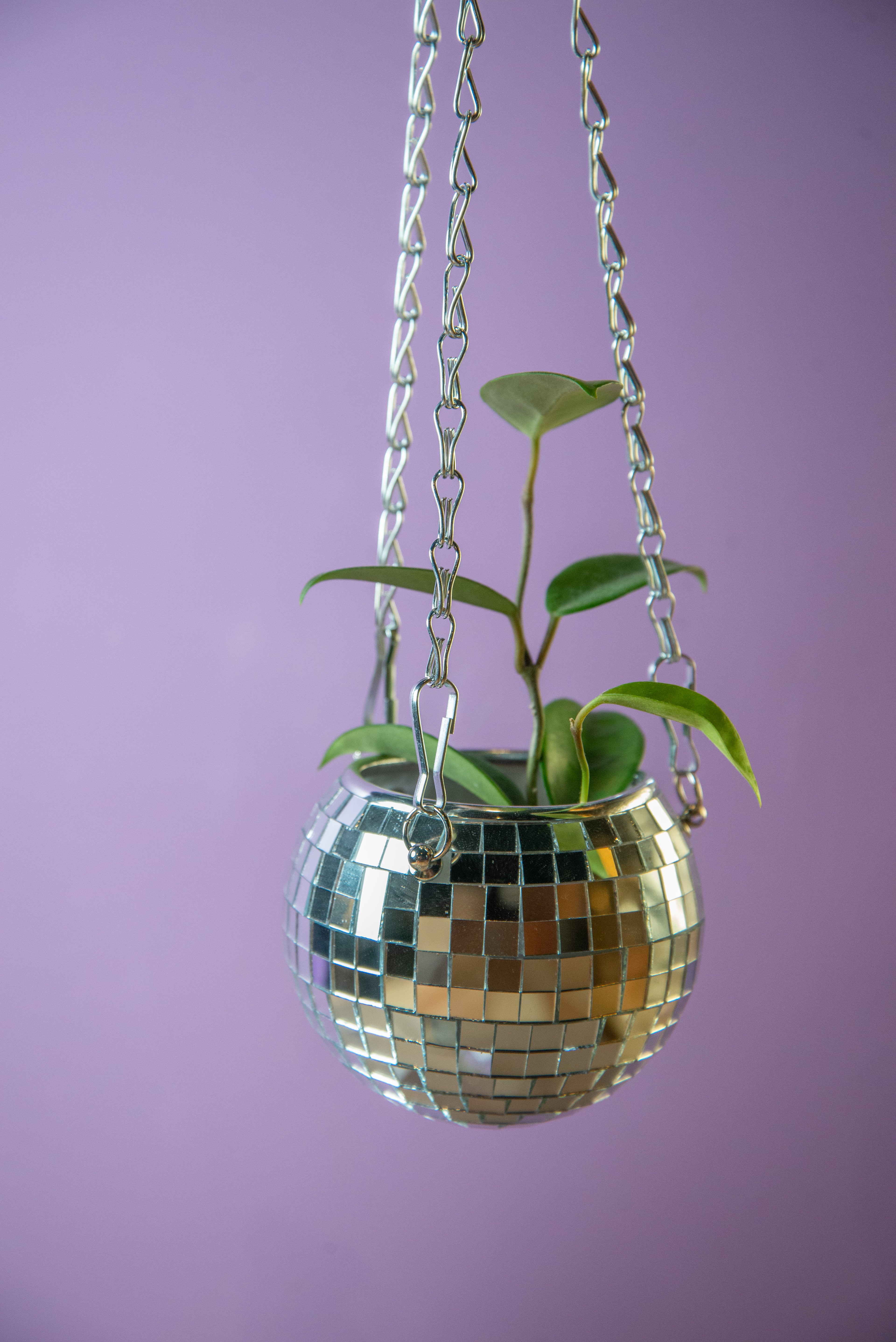 Disco