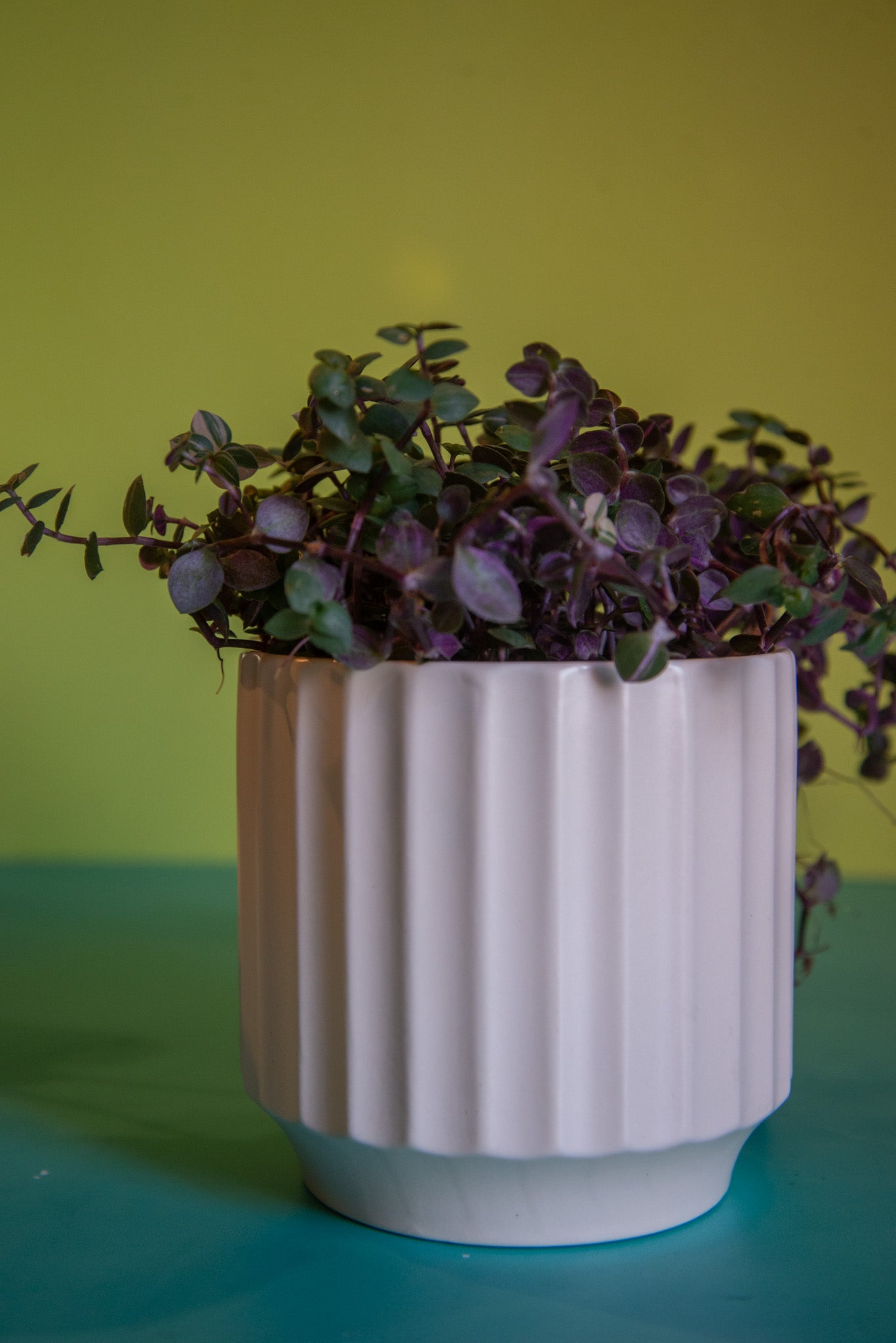 Monroe Planter